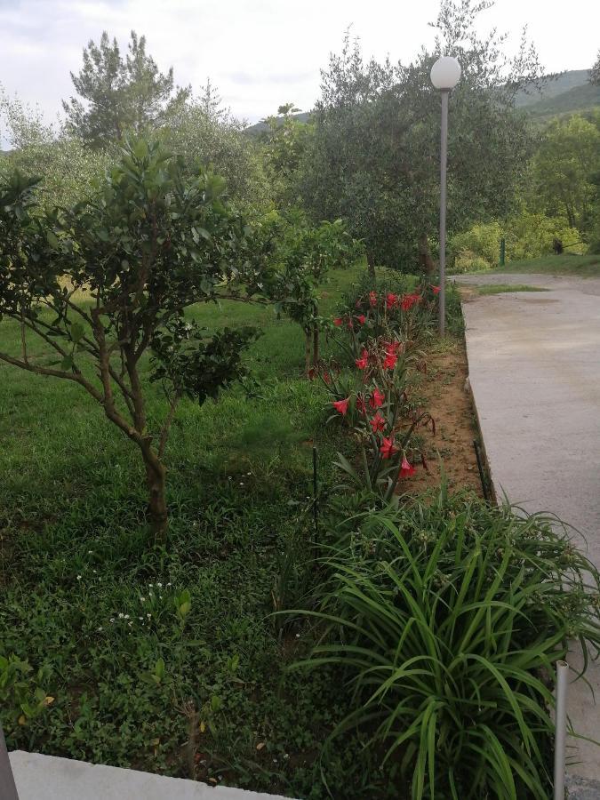 Apartman Petovic โกตอร์ ภายนอก รูปภาพ