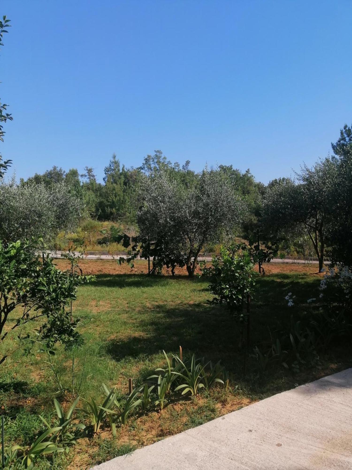 Apartman Petovic โกตอร์ ภายนอก รูปภาพ